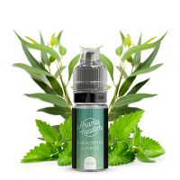 Aromameister Aroma - Eukalyptus & Minze 10ml Aromameister Aroma - Eukalyptus & Minze 10ml