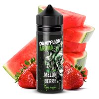 Dampflion Intense - Melon Berry Aroma 10ml Dampflion Intense - Melon Berry Aroma 10ml