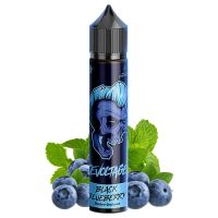 Revoltage Aroma - Black Blueberry 15ml Revoltage Aroma - Black Blueberry 15ml