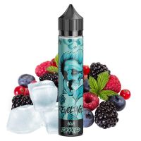 Revoltage Longfill Aqua Berries 15ml Aroma in 75ml Flasche