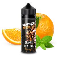 Dampflion Intense - Orange Menthol Aroma 10ml Dampflion Intense - Orange Menthol Aroma 10ml
