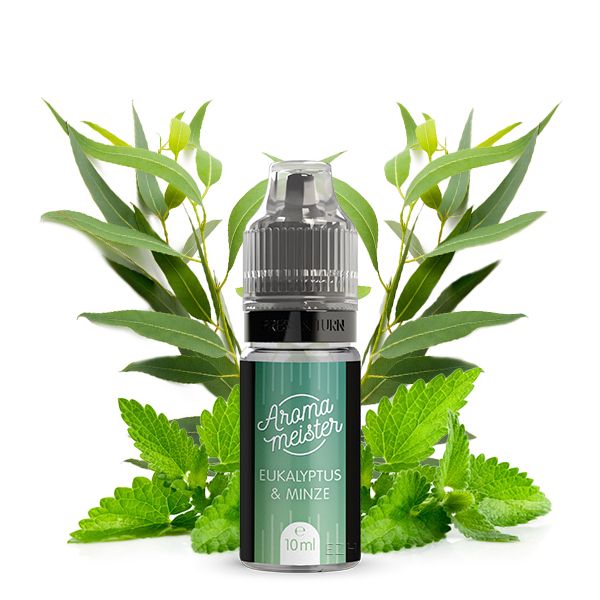Aromameister Aroma - Eukalyptus & Minze 10ml